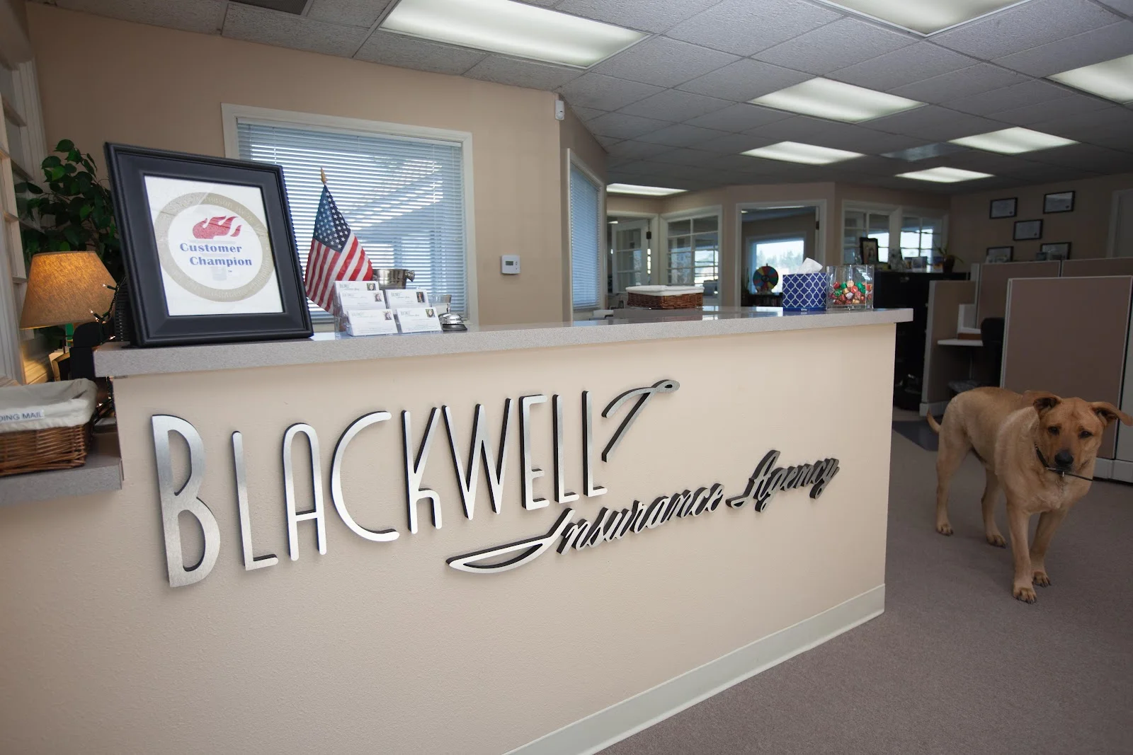 Blackwell Insurance Agency — Insurance in Lake Forest, CA