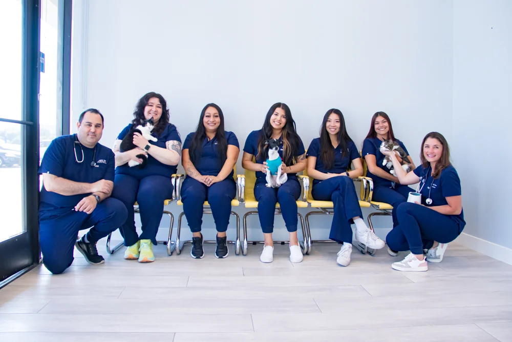 Bliss Animal Hospital — Veterinary & Animal Hospitals in Lake Forest, CA