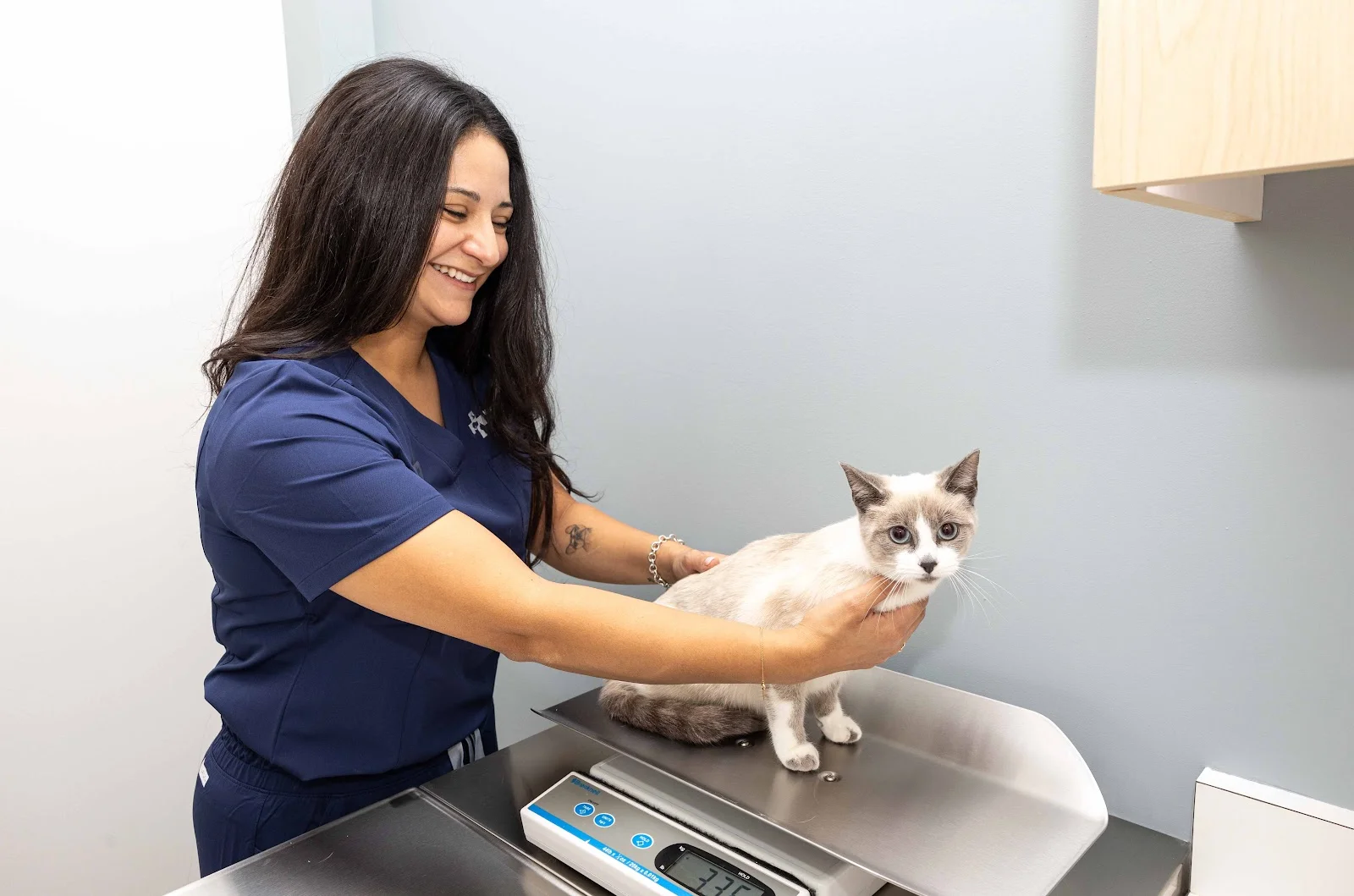 North Hills Animal Hospital — Veterinary & Animal Hospitals in Lake Forest, CA