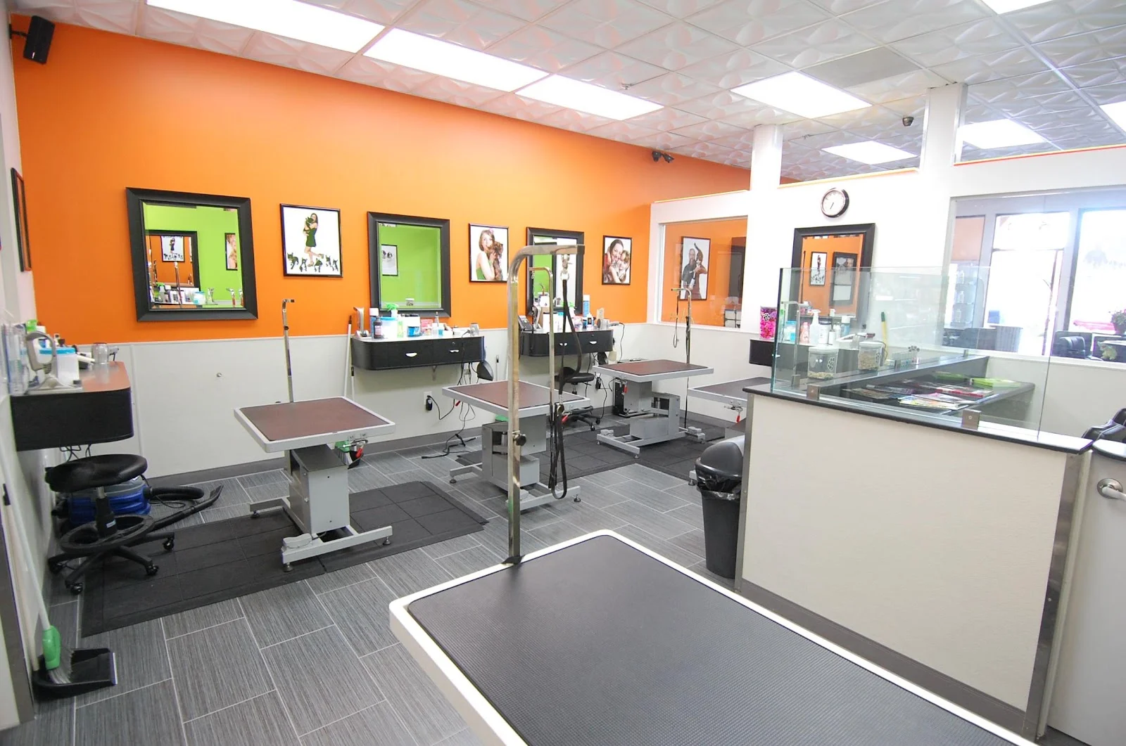 PJ Noah PetSalon - Lake Forest — Pet Supplies & More in Lake Forest, CA
