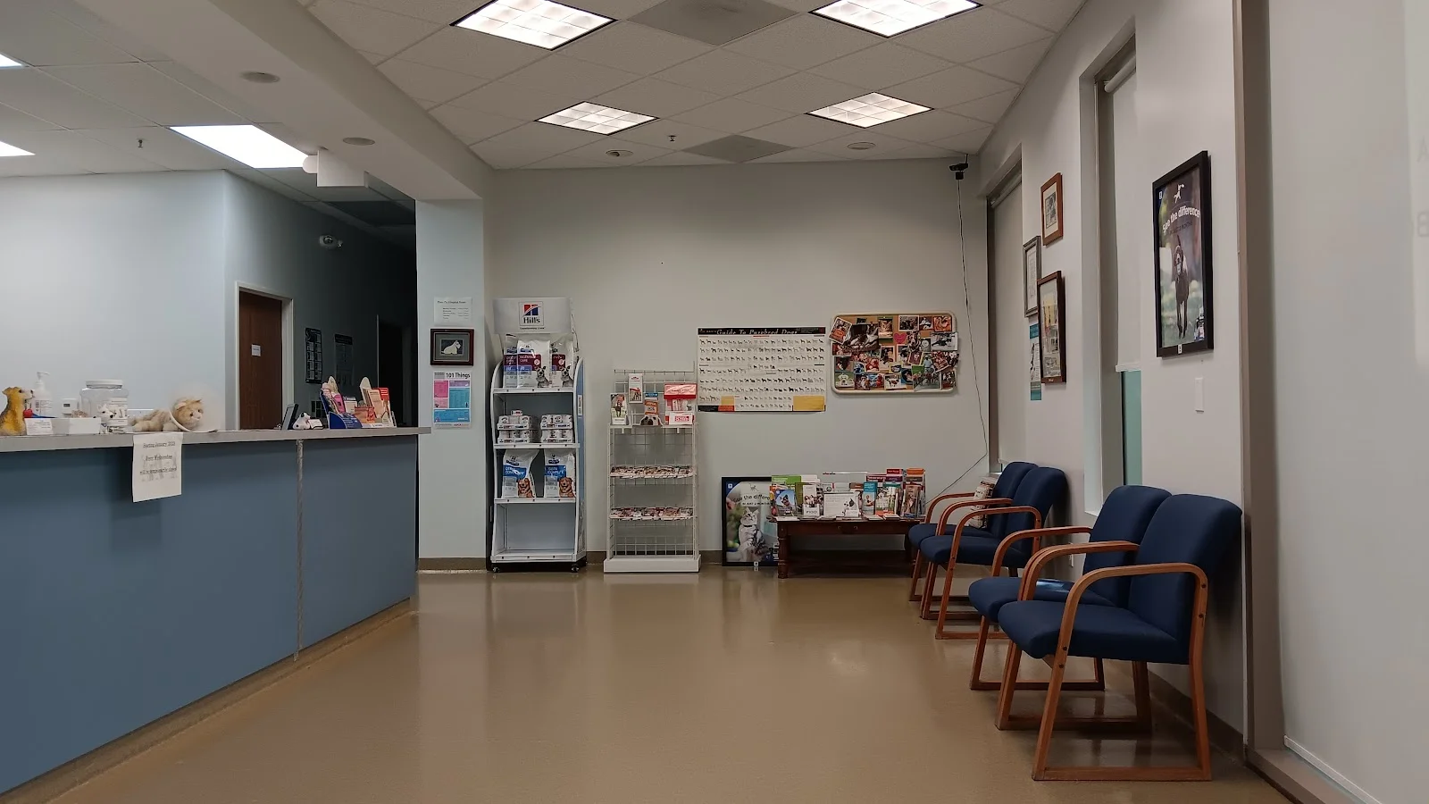 Plaza Pet Hospital — Pet Supplies & More in Lake Forest, CA