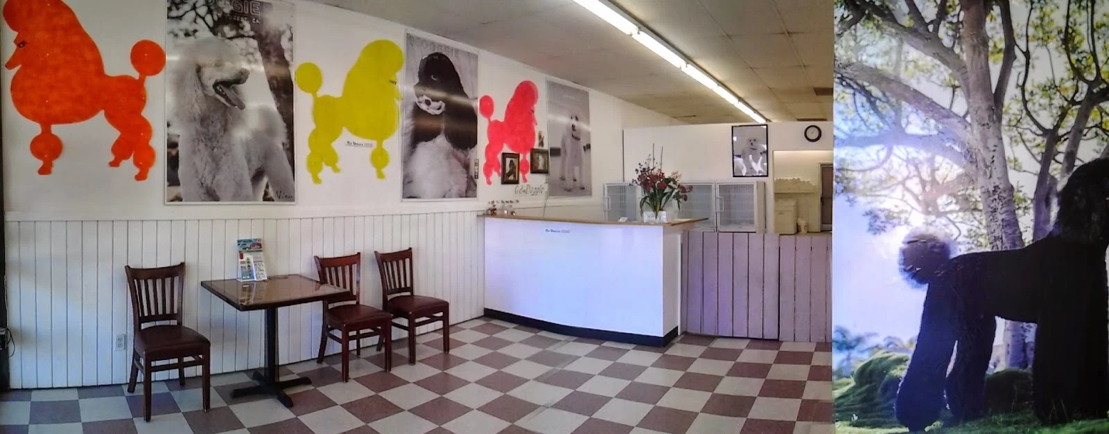Qd. Doggie — Pet Supplies & More in Lake Forest, CA