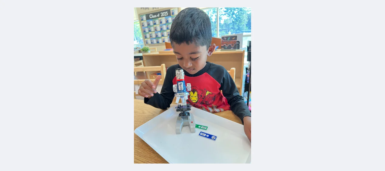Bella Montessori School — Preschool & Childcare in Lake Forest, CA