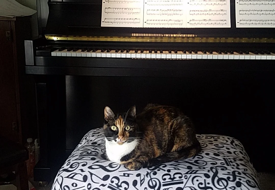 Christy's Piano Instruction — Music & Arts in Lake Forest, CA