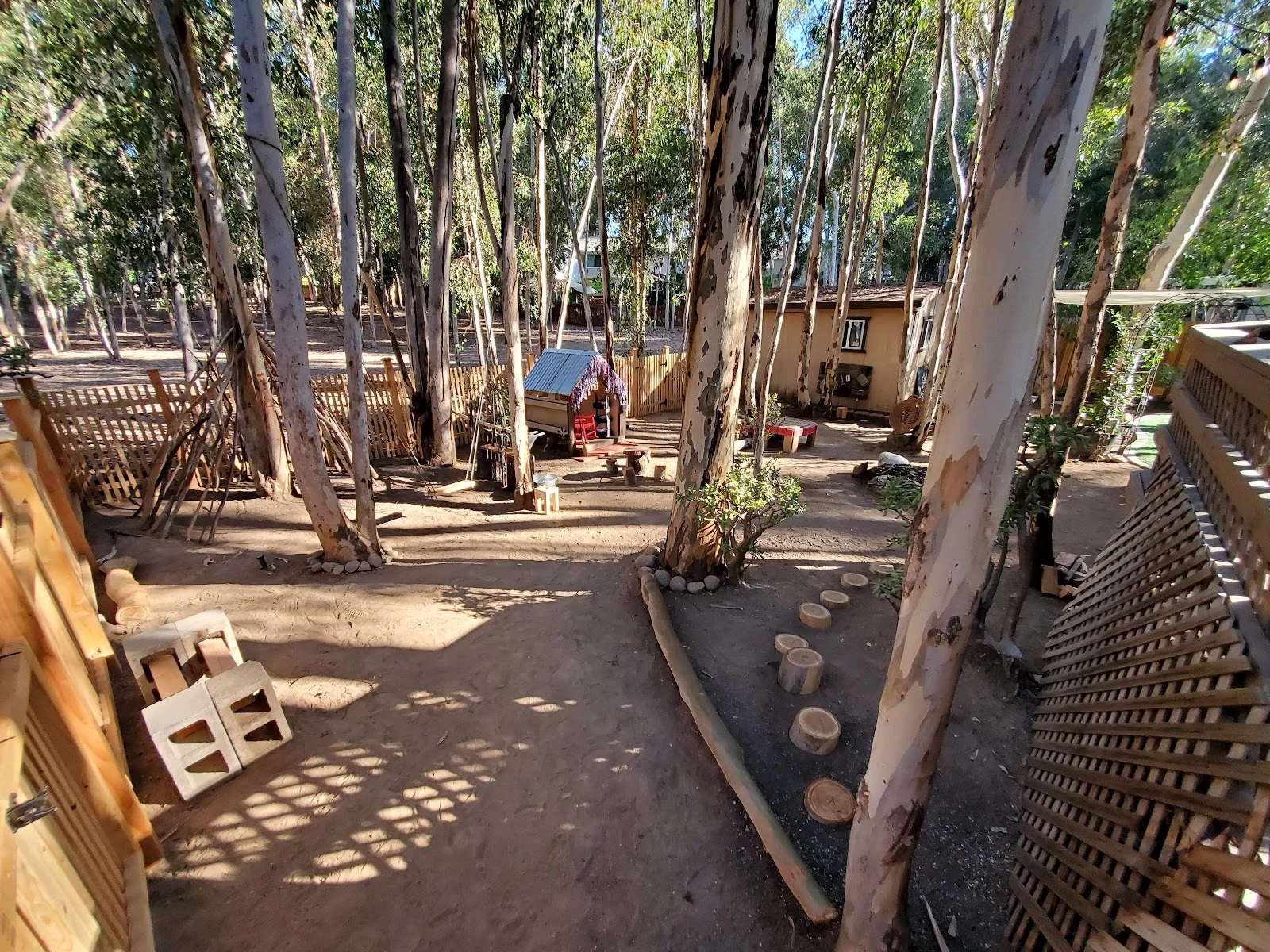 The Nature Preschool — Preschool & Childcare in Lake Forest, CA