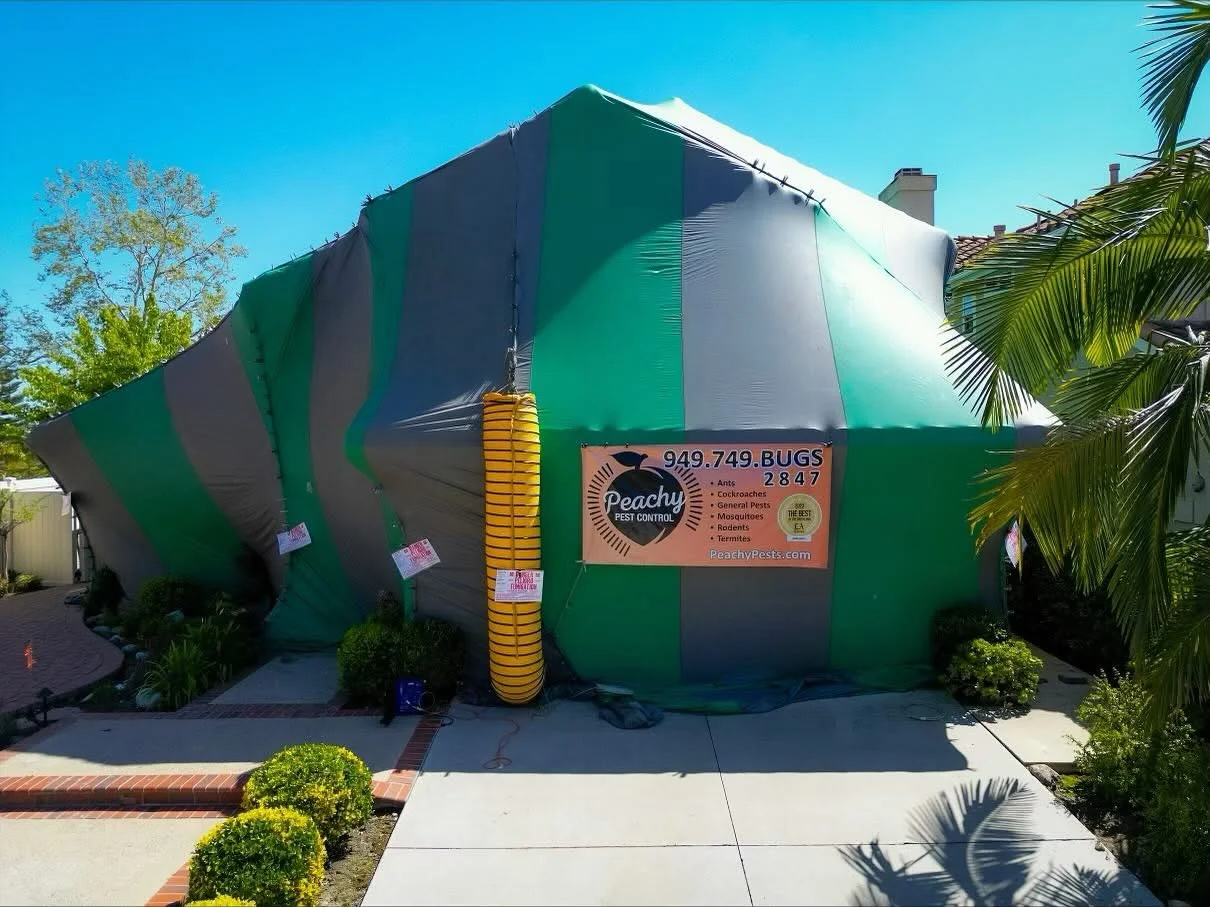 Peachy Pest Control Inc — Pest Control in Mission Viejo, CA