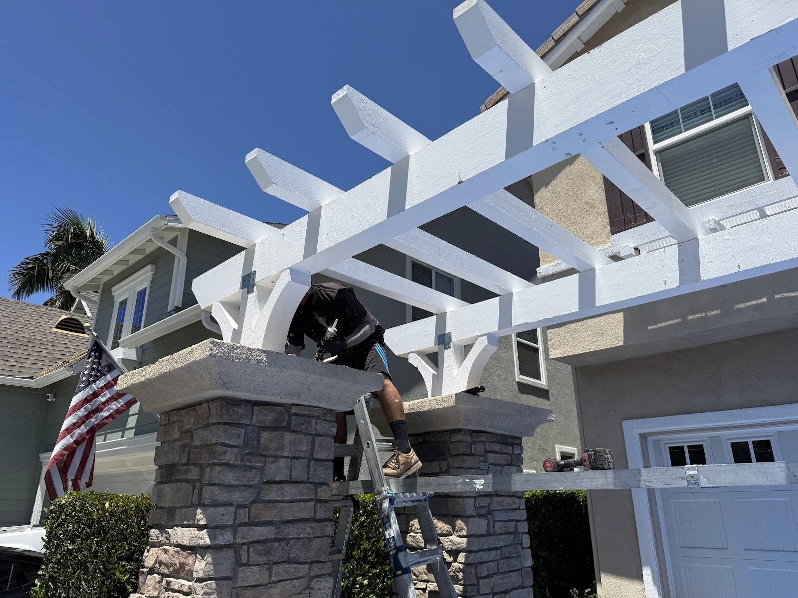 Solo Termite and Construction — Pest Control in Mission Viejo, CA